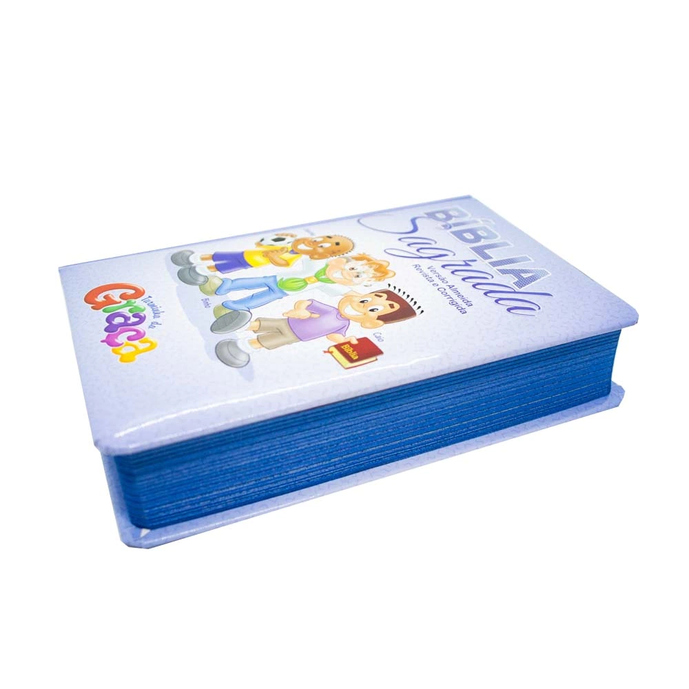 1089268020-biblia-sagrada-rc-turminha-da-graca-capa-azul-editora-graca-editorial-45622-lateral-mi-jpg-f24661cc31b6bf137916648879359082-1024-1024