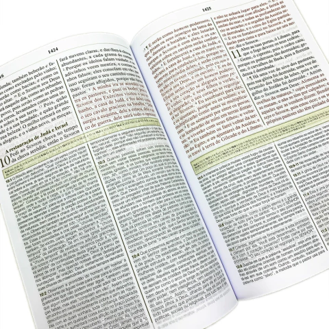868895999-biblia-de-estudo-spurgeon-detalhe-interno-7-mi-jpg-952bde86d3839e04b216598837449269-480-0
