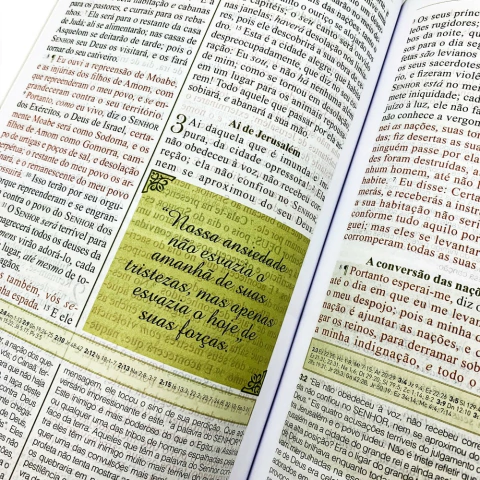 868896007-biblia-de-estudo-spurgeon-detalhe-interno-5-mi-jpg-cc9dd4829e5199db6416598837541197-480-0