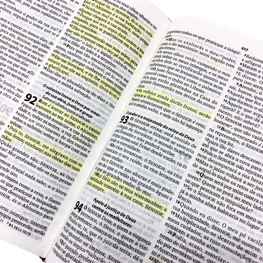 1089049576-biblia-sagrada-rc-midinho-o-pequeno-missionario-turma-do-midinho-editora-graca-editorial-45624-45622-45623-foto-interna-mi-jpg-f24a2dfb8fb446e54a16648827300077-1024-1024