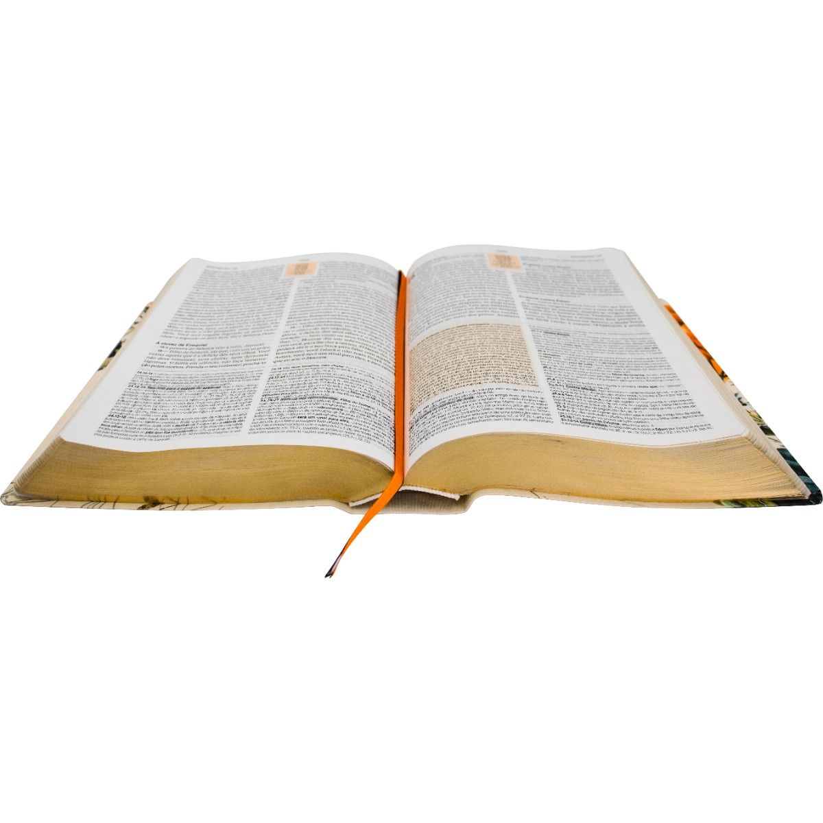 7899938421307_na085e_b_blia_de_estudo_naa_capa_feminina_05_1