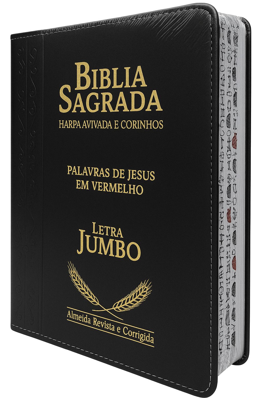 WhatsApp Image 2025-08-21 at 8.07.10 AM