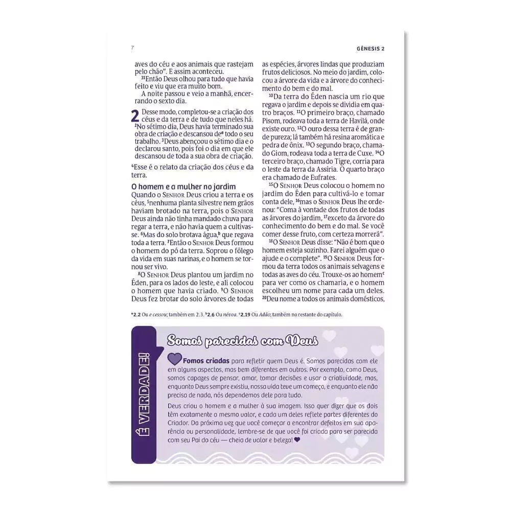 1290922306-biblia-nvt-devocional-para-garotas-minha-historia-editora-mundo-cristao-46662-46661-foto-interna-3-mi-jpg-776bf09a435cdd2c1e16923620402540-1024-1024