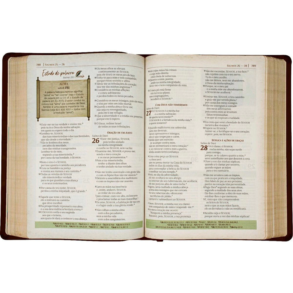 Bíblia de Estudo Igreja Primitiva | NAA | Capa Luxo Marrom