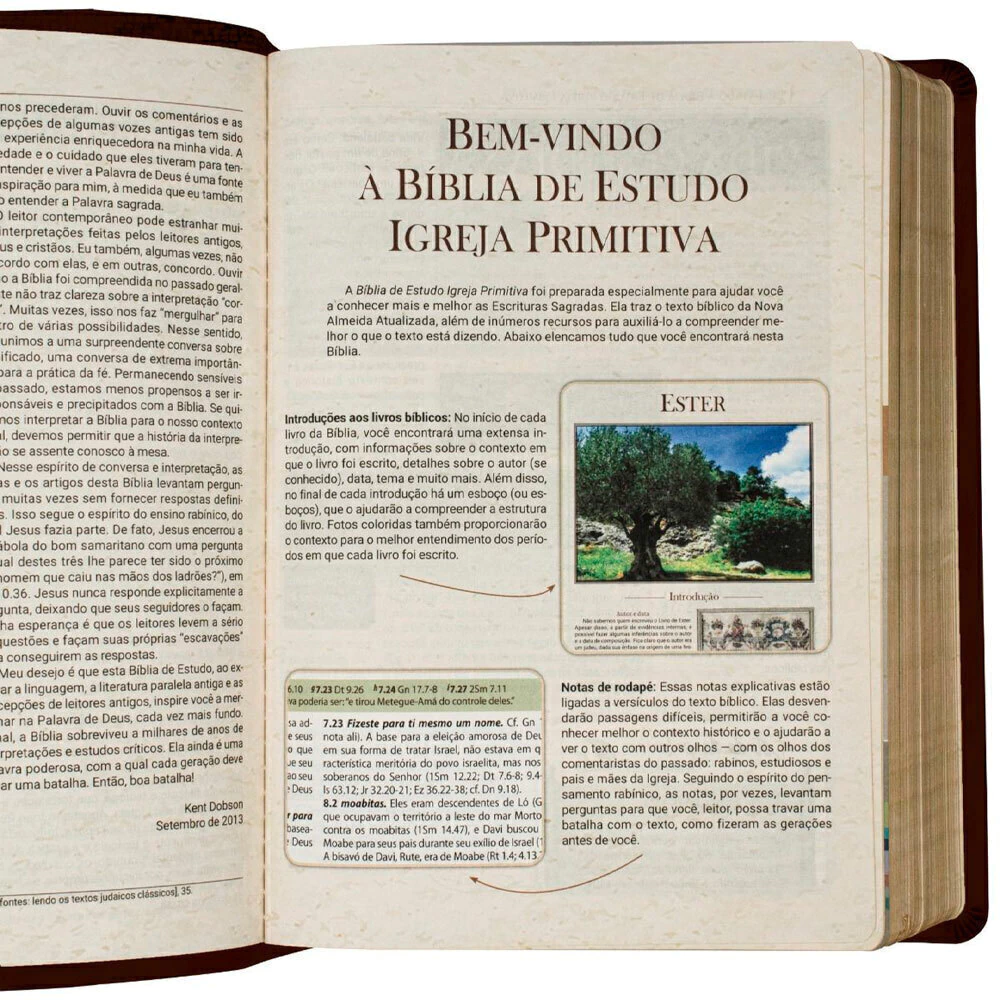 Bíblia de Estudo Igreja Primitiva | NAA | Capa Luxo Marrom