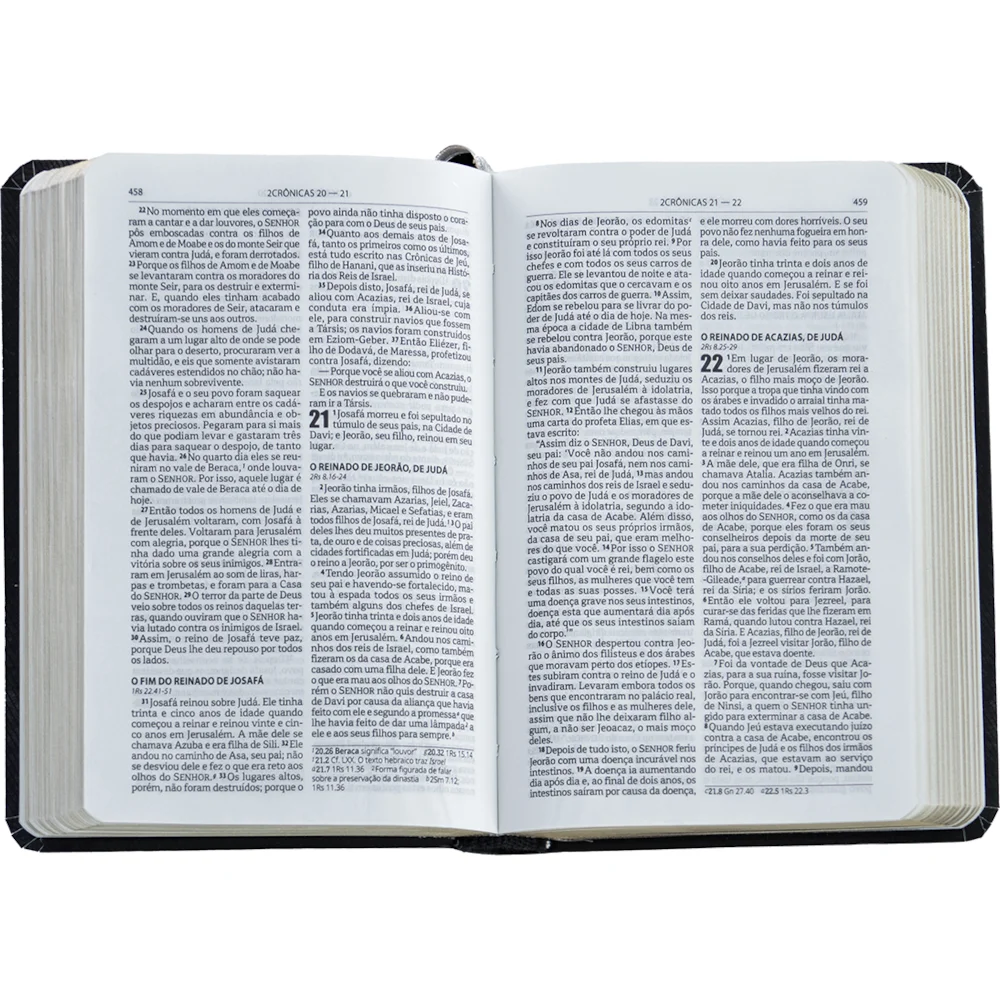 Biblia Edição de Bolso | NAA | Leão
