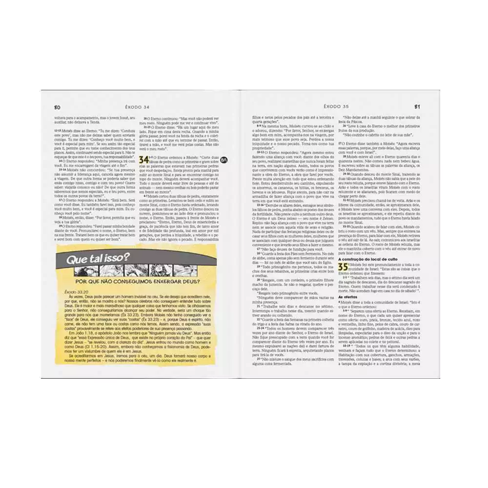 Bíblia em Ação de Estudo | Letra Normal | Capa Street