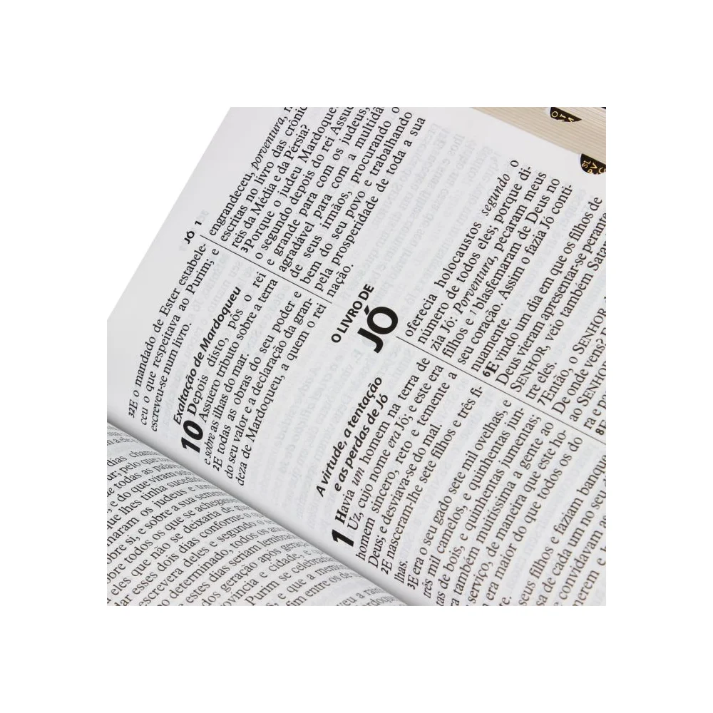 Bíblia Sagrada Letra Gigante | ARC | Preta