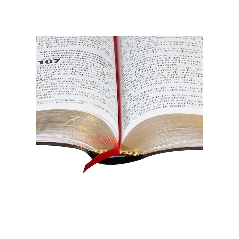 Bíblia Sagrada Letra Gigante | ARC | Preta