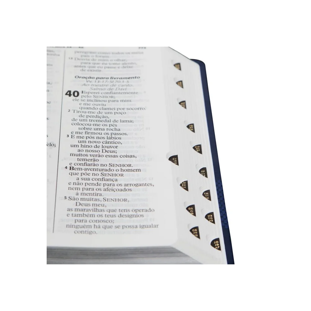 Bíblia Letra Gigante | ARA | Azul Escuro
