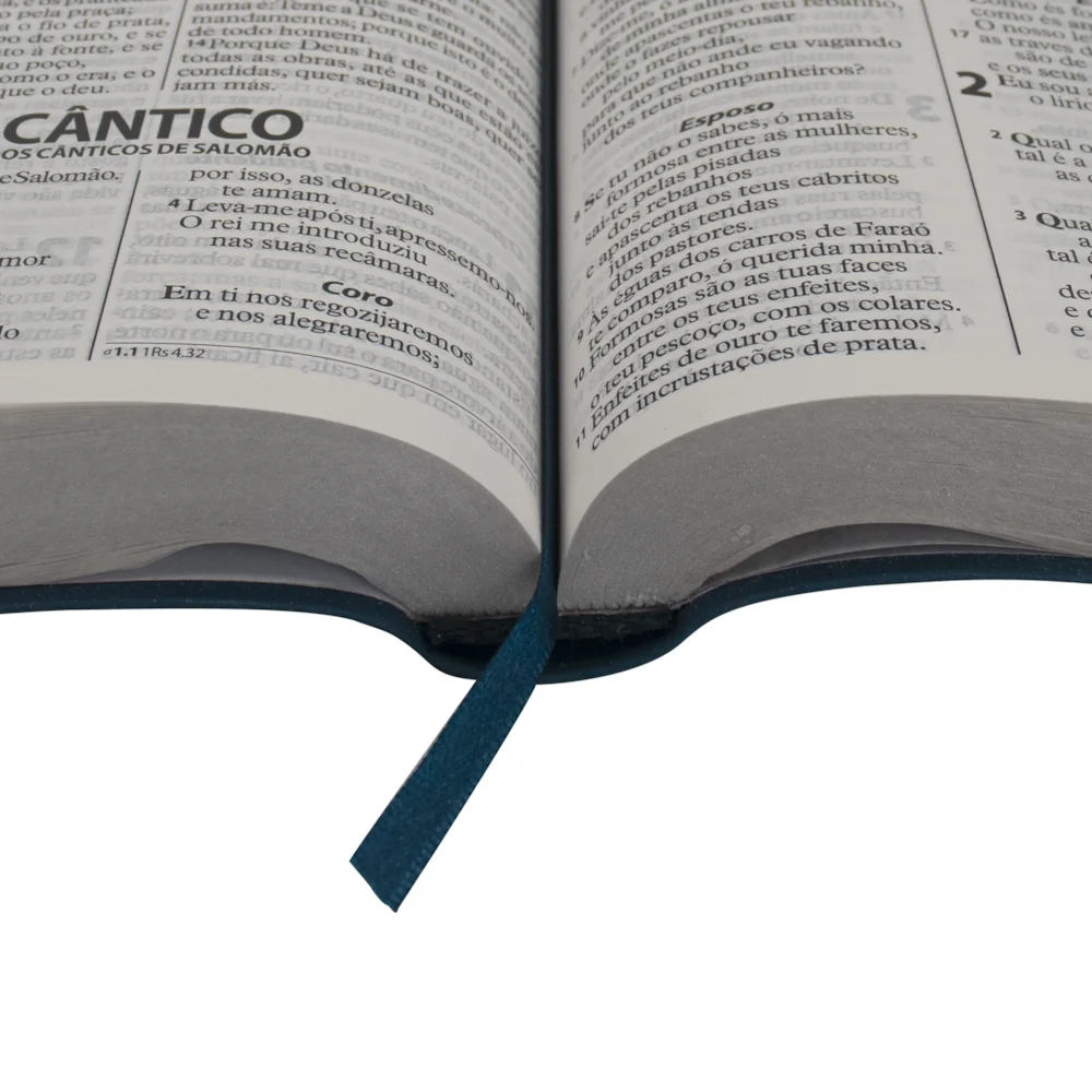 Bíblia Letra Gigante | ARA | Azul