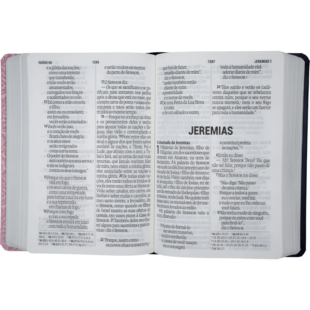 Bíblia Sagrada Letra Supergigante Média | NAA | Azul e Rosa