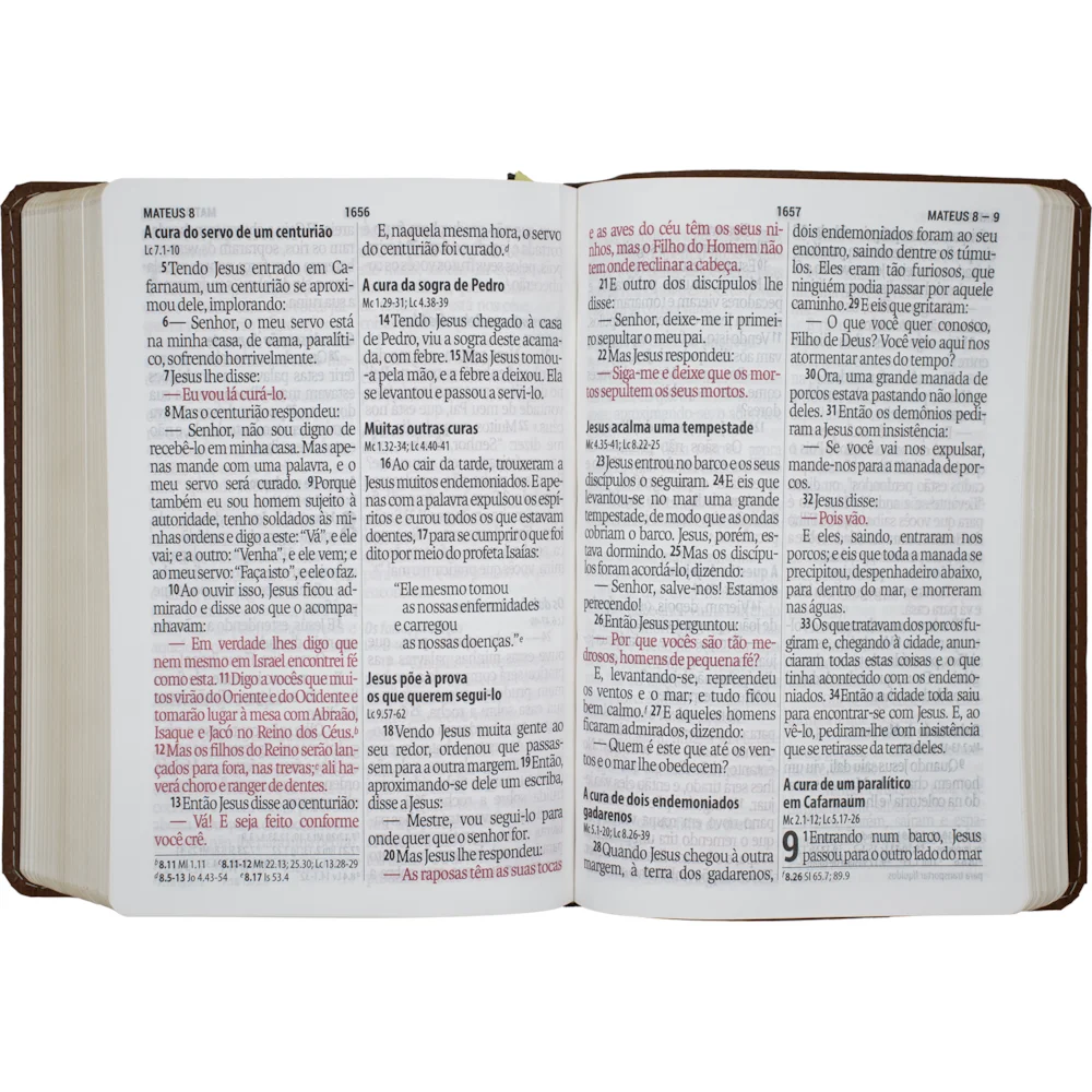 Bíblia Sagrada Letra Supergigante Média | NAA | Vinho