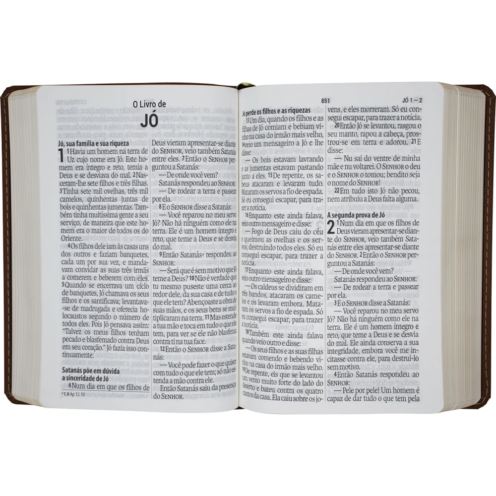 Bíblia Sagrada Letra Supergigante Média | NAA | Vinho