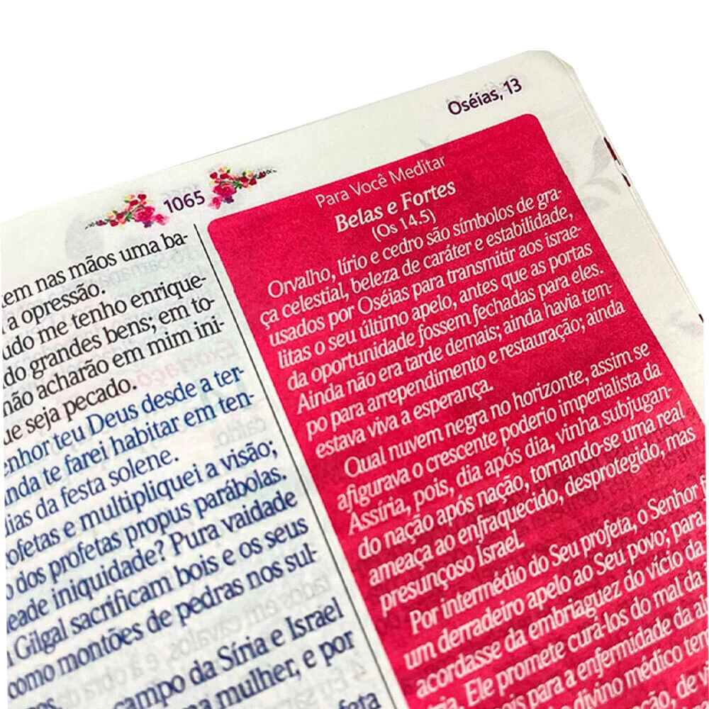 Bíblia de Estudo da Mulher Sábia | ARC | Vermelha